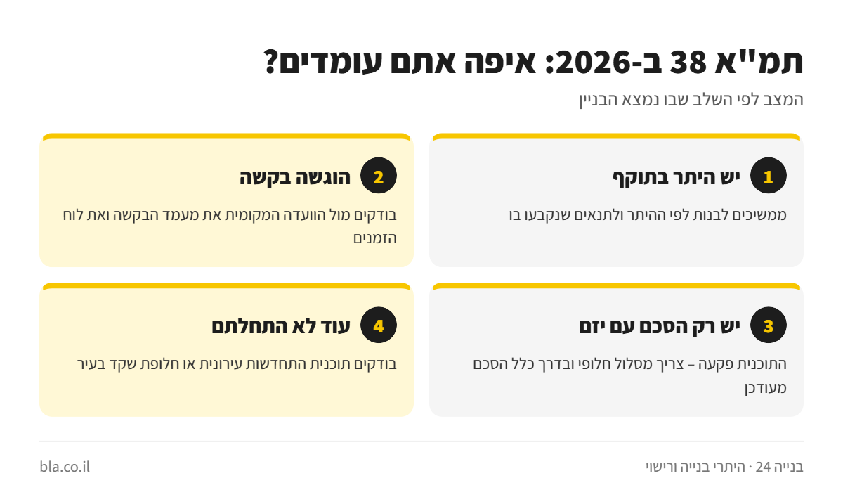 אינפוגרפיקה: מצב תמ
